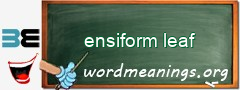 WordMeaning blackboard for ensiform leaf